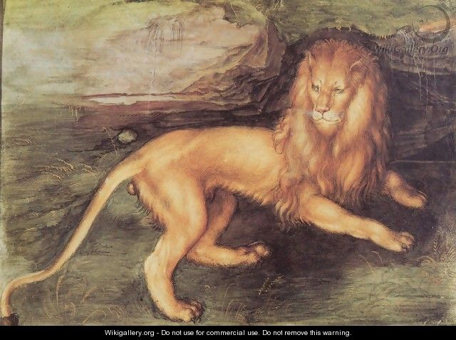 Lion - Albrecht Durer