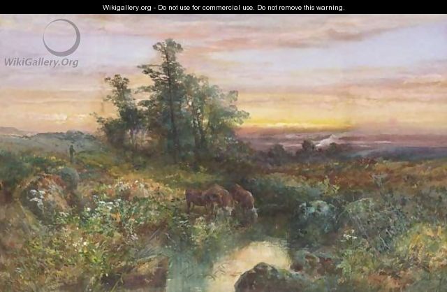 Summer Sunset On Dartmoor - William Widgery