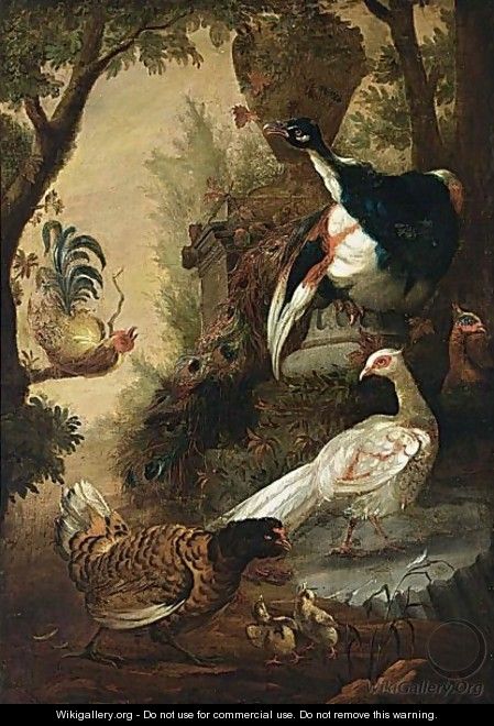 Peacocks And Other Birds In A Park Landscape - (after) Melchior De Hondecoeter