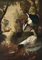 Peacocks And Other Birds In A Park Landscape - (after) Melchior De Hondecoeter