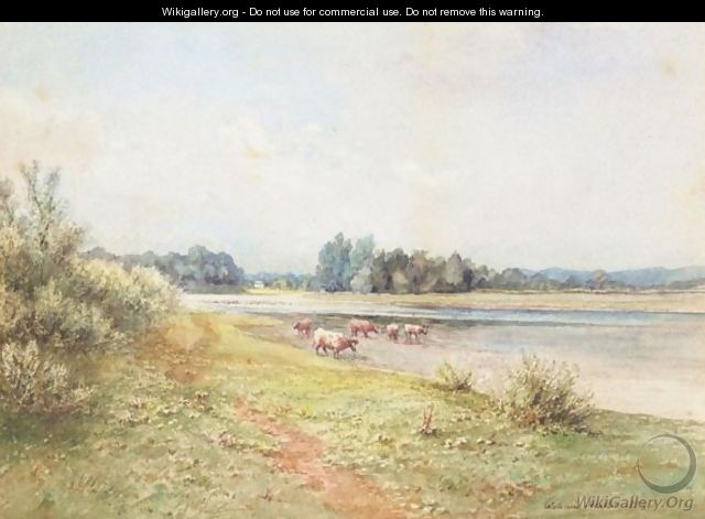 Cattle By A Stream - William Heatlie