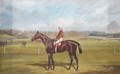 Bay Racing Horse With Jockey Up - John Audy