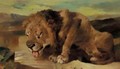 A Lion Drinking - (after) Landseer, Sir Edwin