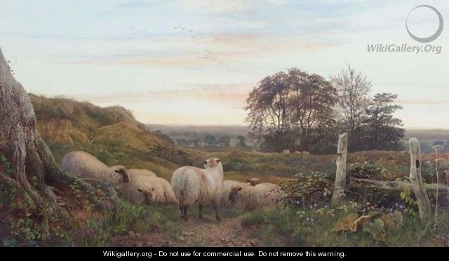 Evening Landscape With Sheep At Rest - George Shalders