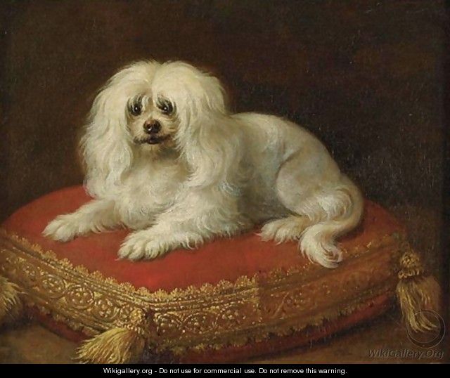 Portrait Of A Dog Seated On A Pillow - French School
