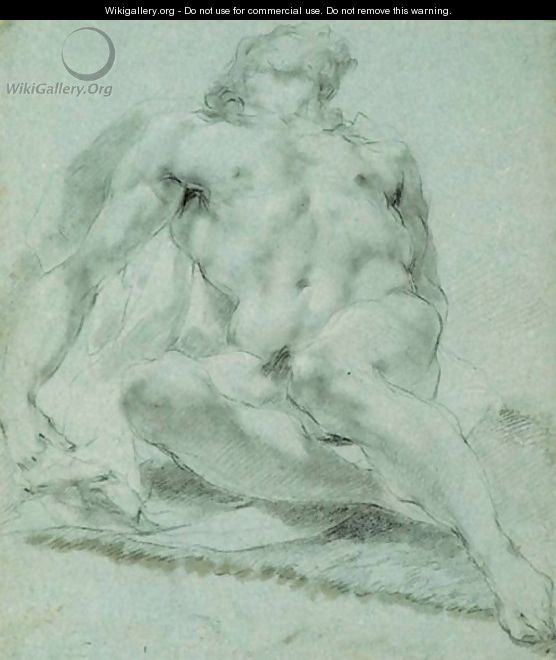 Male Nude - (after) Andrea Sacchi