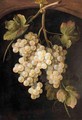 A Still Life Of A Bunch Of Grapes Hanging From A Hook - Dutch School
