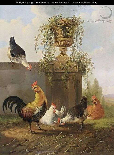 Chickens And A Cockerel By A Wall - Albertus Verhoesen