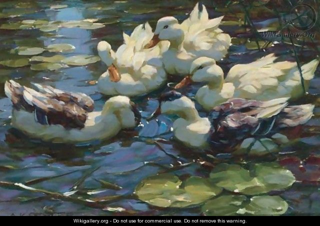 Five Ducks In A Pond - Alexander Max Koester