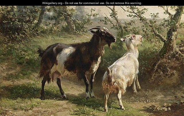 Two Goats - Jan Bedijs Tom