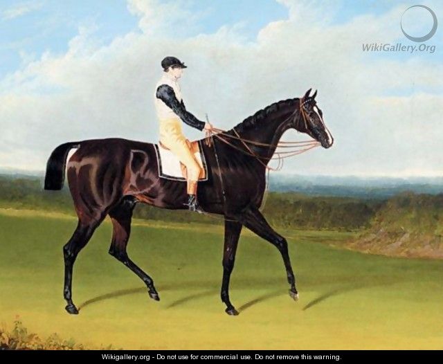Filho Da Puta, A Dark Bay Racehorse With Thomas Goodisson Up Wearing The Colours Of Mr Thomas Houldsworth - John Frederick Herring Snr