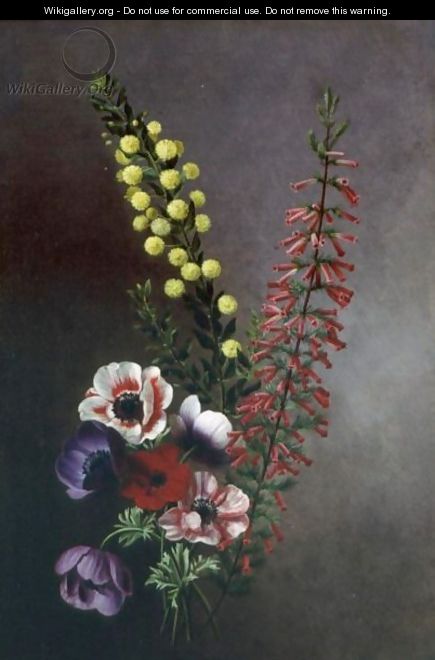A Study Of Anemones,veronica And Other Flowers - Antoine Chazal