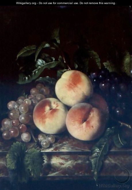 Still Life Of Grapes And Peaches On A Marble Ledge - Willem Frederik van Royen