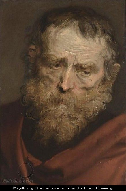 A Study Of A Bearded Man - (after) Dyck, Sir Anthony van