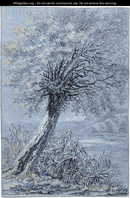 A Willow By The Waterside - (after) Anthonie Waterloo