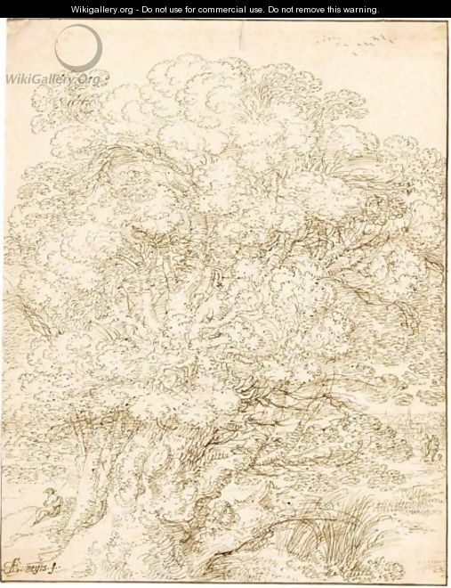 Study Of An Old Tree - Gilles Neyts