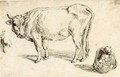 Study Of A Cow, A Part Of A Cow's Head And A Child In A Basket - (after) Jacob De II Gheyn