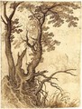 Study Of A Tree On A Rocky Outcrop, Buildings Behind - Paul Bril