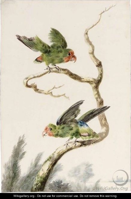 Two Green Parakeets On A Branch - Willem van Leen