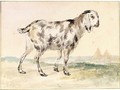 An Egyptian Goat - Aert Schouman