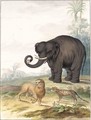 An Asian Elephant, A Lion And A Civet Cat In A Landscape - Johannes Bronckhorst