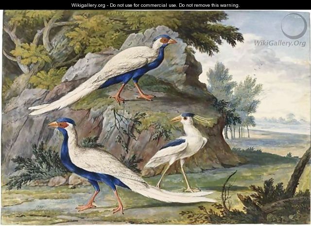 Two Silver Pheasants And A Black-Crowned Night Heron In A Landscape - Willem Frederik van Royen