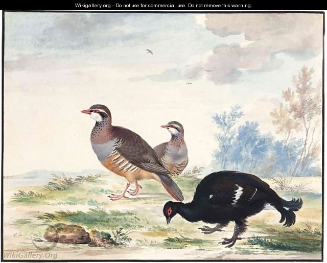 A Black Grouse And A Pair Of Red-Legged Patridge - Johannes Bronckhorst