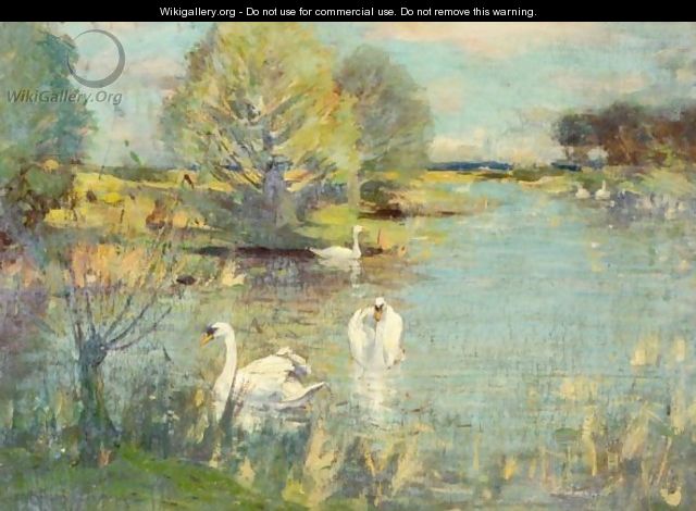 The Swan Lake - David Murray