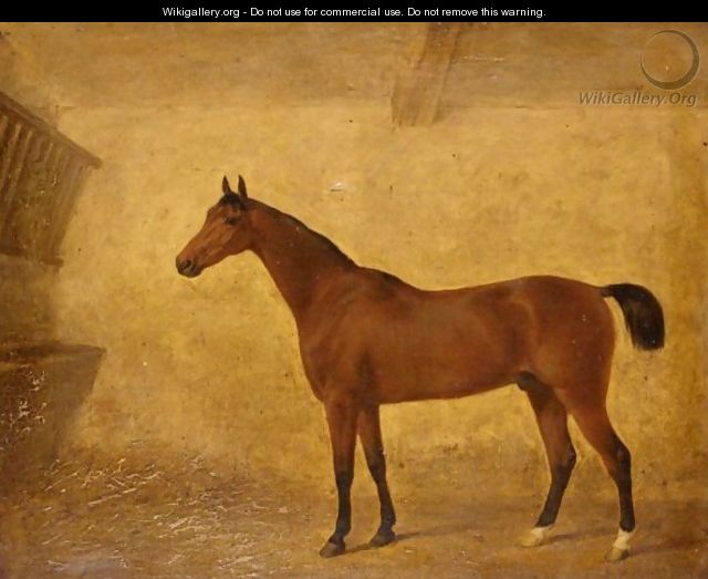 Portrait Of A Bay Horse In A Loose Box - (after) Harry Hall