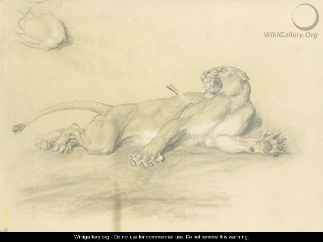 Wounded Lioness - Briton Rivière