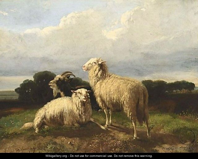 Sheep - Dirk Peter Van Lokhorst