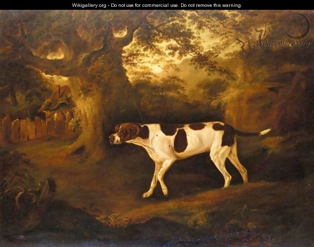 A Pointer In A Landscape - Thomas Weaver