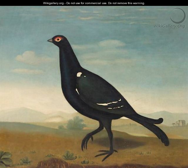 A Black Grouse In A Landscape - English School