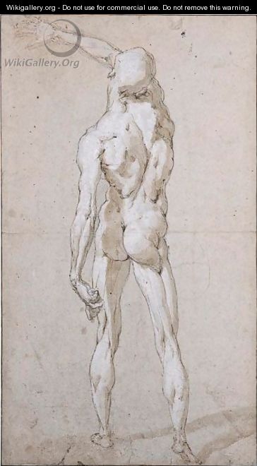 Male Nude Seen From Behind - Andrea Boscoli