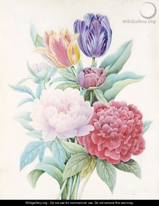 A Bouquet Of Peonies And Tulips - Comtesse D