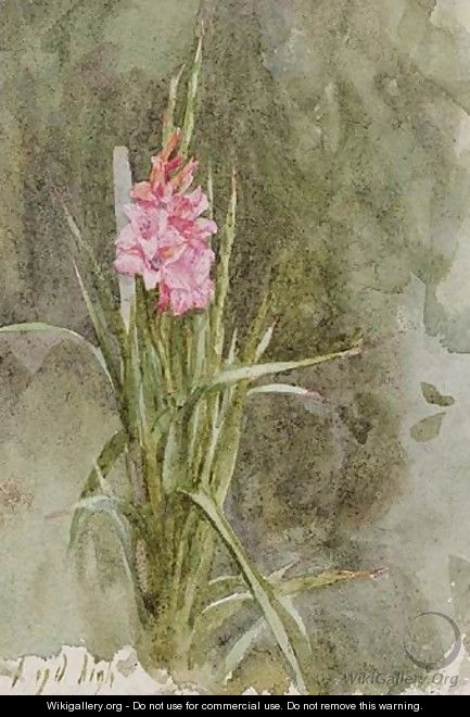 Pink Gladiolae - Helen Mary Elizabeth Allingham, R.W.S.