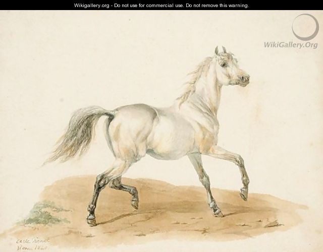 Study Of A Horse - Carle Vernet