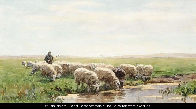 Sheep Drinking From A Pool - Willem II Steelink