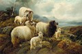 Sheep In A Highland Landscape - Robert Watson