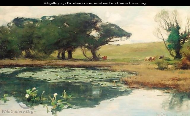 A Lily Pond In The Park, Castle Kennedy, Stranraer - David Farquharson