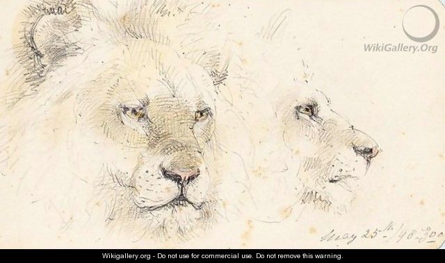 Lion Studies - William Strutt