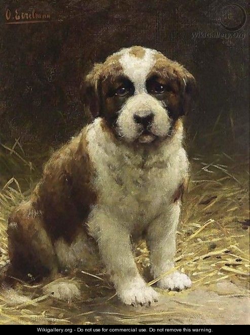 A Saint-Bernard Puppy - Otto Eerelman