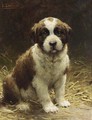 A Saint-Bernard Puppy - Otto Eerelman