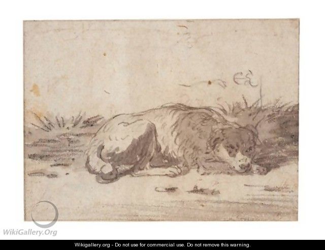 Study Of A Sleeping Dog - Cornelis Saftleven