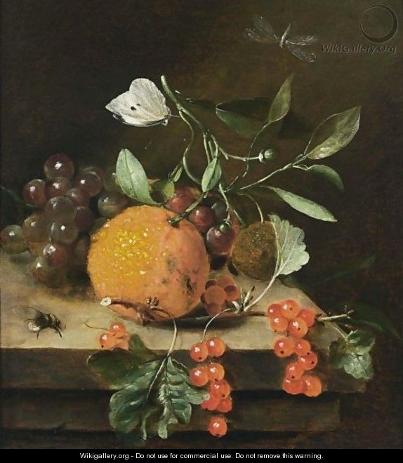 A Still Life Of An Orange, Grapes And Red Berries, Together With A White Butterfly, A Dragonfly And A Bee, All On A Wooden Ledge - Marten Nellius