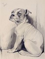 A Boxer Pup - Cecil Charles Aldin