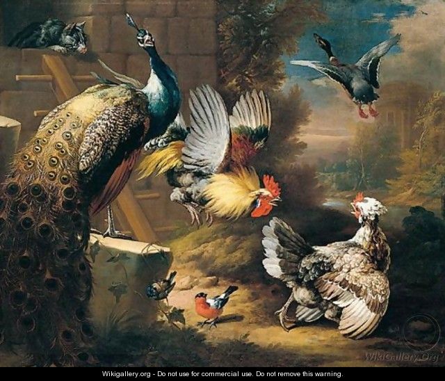 A still life of fowl, wit a cat - (after) Peter Casteels