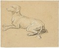 Study of a dog - Alexandre-Francois Desportes