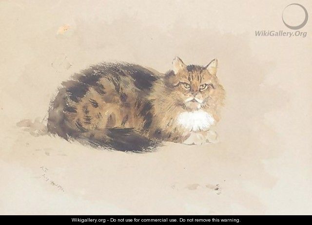 Study of cat - Archibald Thorburn