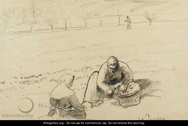 Paysannes Travaillant Aux Champs - Camille Pissarro